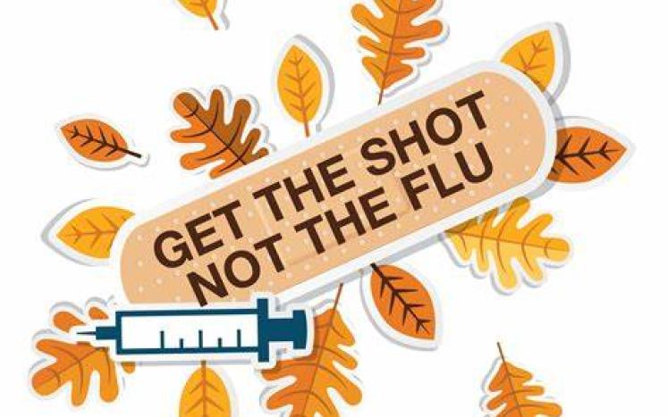 A sign that says "Ger the shot, not the flu